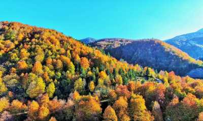 Güzeldere Şelalesi Tabiat Parkı